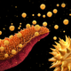 Illustration for article titled See The Wellcome Trusts Best Science Photos Of The Year